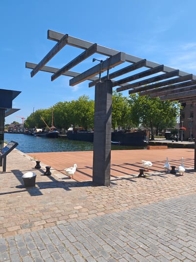 This is a photograph taken on a sunny day in the city of Tilburg, Netherlands. The image depicts a waterfront scene with a canal lined with trees and buildings in the background. In the foreground, there is a paved walkway leading to a wooden deck. Several white geese are present on the deck and the walkway. A modern pergola structure with metal beams extends over part of the scene. The canal features several boats docked along its edge. The overall atmosphere is one of a pleasant urban waterside environment.
