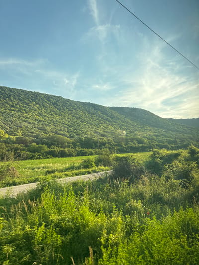 The image depicts a sunlit mountainous landscape with lush green vegetation under a clear blue sky dotted with wispy white clouds. A narrow, grey asphalt road winds through the lower portion of the scene, bordered by abundant green foliage and grasses. The distant mountain is densely covered in trees and shrubs, with sunlight casting highlights and shadows across its slopes. A faint, thin wire is visible stretching diagonally across the upper right quadrant of the sky. The scene captures a natural, rural environment, likely located in the vicinity of Kaspichan, Bulgaria, given the context. There are no people or specific objects of note other than the road and the natural elements.