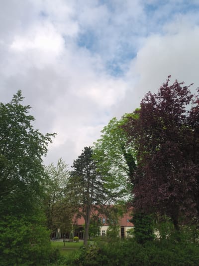 The photograph captures a scene with trees in the foreground and a building partially visible in the background, under a sky with clouds. The trees on the left are predominantly green, while a tree on the right exhibits reddish-purple foliage. The building appears to be a multi-story structure with a red-tiled roof, partially obscured by the trees. The sky is overcast with patches of blue. Based on the architectural style of the building and the types of trees, this scene is possibly located in the city of Münster, Germany. There are no people visible in the image.