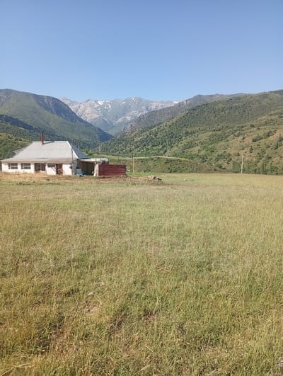 The image shows a rural landscape with a house and mountainous terrain in the background. A white house with a metallic roof and a red chimney is situated in a field of dry grass. To the right of the house, there is a small, rustic shed made of corrugated metal. The background features rolling green hills that transition into rugged mountains, some of which are capped with snow. The sky is clear and blue, indicating a sunny day. The scene is one of a remote, possibly agricultural, settlement in a mountainous region. It is located in the village of Koksayak, Koksayak rural district, Kazakhstan.