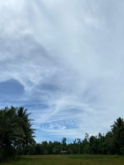 The image depicts a cloudy sky in Blangrheuem, Indonesia. The sky is a mix of blue and white, with thin, wispy clouds. The right side of the image features a line of trees, including coconut palms, and a patch of green grass. The image is oriented vertically, with the sky dominating the frame.