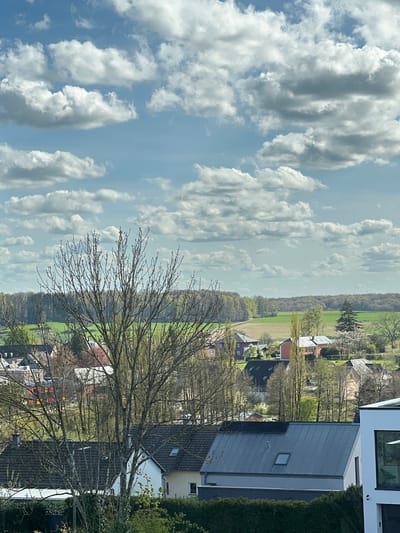 This image presents a panoramic view of a rural or semi-rural landscape in Groussbus-Wal, Luxembourg, under a bright, cloudy sky. The upper half of the frame is dominated by a light blue sky dotted with numerous fluffy white and grey cumulus clouds, suggesting fair weather.
In the mid-ground, the landscape unfolds with rolling green fields that meet a dense line of trees, indicative of a forest or extensive woodland forming the distant horizon. Scattered houses are visible throughout the scene, blending into the natural surroundings.
In the foreground and right side, several residential buildings are prominent. A modern house with a clean white facade and large dark-framed windows is partially visible on the far right. Adjacent to it, another building features a distinctive dark grey corrugated metal roof with a single small rectangular skylight. Other houses in the mid-ground have darker, possibly tiled, roofs.
Bare-branched trees stand prominently in the foreground and mid-ground, their intricate network of branches reaching upwards. Their leafless state suggests the season is either late winter or early spring. Green hedges and bushes are also present around the houses. The scene captures a static, peaceful moment during the daytime, likely late morning or early afternoon due to the bright, even lighting. There is no visible human activity or discernible text in the image.