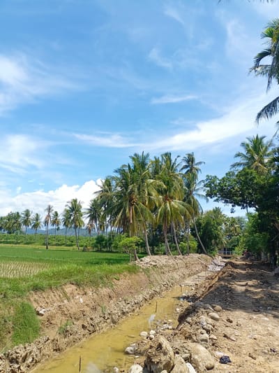 The image captures a rural landscape in Puloara, Indonesia, on a clear day with a bright blue sky dotted with white clouds. In the foreground, a muddy trench or canal runs diagonally across the scene, filled with murky water and lined with loose soil, rocks, and some debris. To the left of the trench is a vibrant green rice field, stretching into the distance. A dense grove of palm trees dominates the mid-ground, with some appearing taller and more mature than others. Beyond the palm trees, a line of smaller trees and vegetation forms a natural border, and further in the background, hills or mountains are visible, shrouded in a light haze. The overall impression is one of an agricultural area undergoing some form of construction or excavation, juxtaposed with lush natural scenery under a sunny sky. There are no people visible in the image.