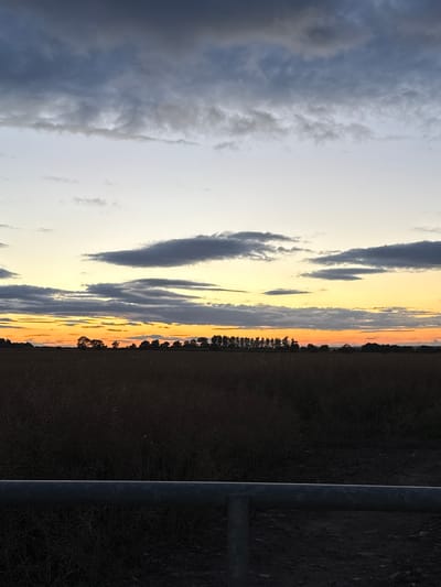 A low-angle, full shot captures a rural landscape at dusk in Cressage, United Kingdom. A dark metal horizontal bar runs across the bottom of the frame, in front of a dark field of vegetation, likely crops, that fills the lower half of the image. Above the field, the sky transitions from a bright orange band at the horizon to a pale yellow and then to a light blue, before darkening to shades of grey and near-black at the top of the frame, indicative of a cloudy sunset. A silhouetted line of trees and foliage stretches across the horizon, separating the field from the sky. The overall lighting suggests twilight, with limited detail visible in the foreground and midground due to the fading light.