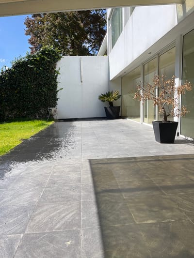 A contemporary exterior space features a gray tile patio under sunlight and shadows. A modern building with glass windows overlooks the patio, accented by potted plants. A vibrant green lawn merges with a wall covered in ivy. A mature tree with changing foliage is partially visible against a blue sky, adding a natural contrast to the structured architecture.