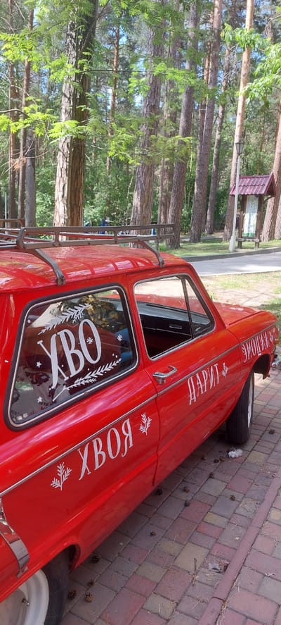 The image shows a red car parked on a brick-paved pathway in a park-like setting with tall pine trees in the background. The car has white lettering on its side and rear window. On the side of the car, the words "ДАРИТ" and "ЭМОЦИИ" are visible. On the rear window, the word "УВО" is written. The car also has a roof rack. There are pine cones scattered on the ground around the car. The setting appears to be a public space, possibly a park or a recreational area within the city of Berdsk municipality, Russia, given the vegetation. There are no people visible in the image.