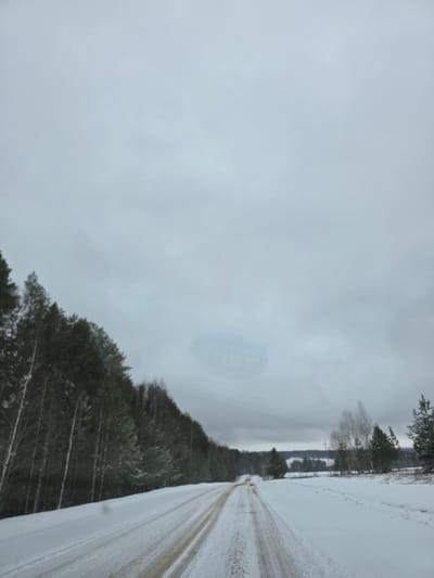 The image depicts a snow-covered road running through a rural landscape, likely in the vicinity of Nekrasovo, Russia. The road surface shows evidence of vehicle traffic, with tire tracks visible in the snow. Trees line the side of the road, some covered in snow. The sky is overcast, contributing to the bleak winter atmosphere. There are no people or animals visible in the scene. The image suggests a remote or sparsely populated area.
