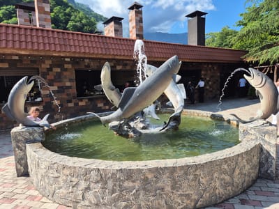 A wide outdoor shot captures a stone fountain with sculpted fish. The fountain's basin is circular and made of rough-hewn stone. The water within is a murky green, with several jets of water spraying upwards from the mouths of the fish sculptures and from a central point. The fish sculptures are realistic in form and are arranged in a dynamic cluster, appearing to leap and swim.

A young girl in a pink shirt is visible to the left, leaning over the edge of the fountain and touching the water. She appears to be engaged with the fountain. In the background, a building with a red-tiled roof and stone walls is visible. Several large, dark chimneys rise from the roof, with smoke emanating from one. The building appears to be a restaurant or eatery, with open windows revealing people working inside.

The scene is set outdoors on a sunny day, with a bright blue sky and scattered clouds. Lush green trees and a steep, forested mountainside are visible behind the building, indicating a natural, possibly mountainous, setting. The ground around the fountain is paved with interlocking bricks in a reddish-brown and gray pattern. The overall impression is of a scenic outdoor dining or recreational area, possibly in a rural or mountainous region. The time of day appears to be late morning or early afternoon, judging by the bright sunlight and shadows.