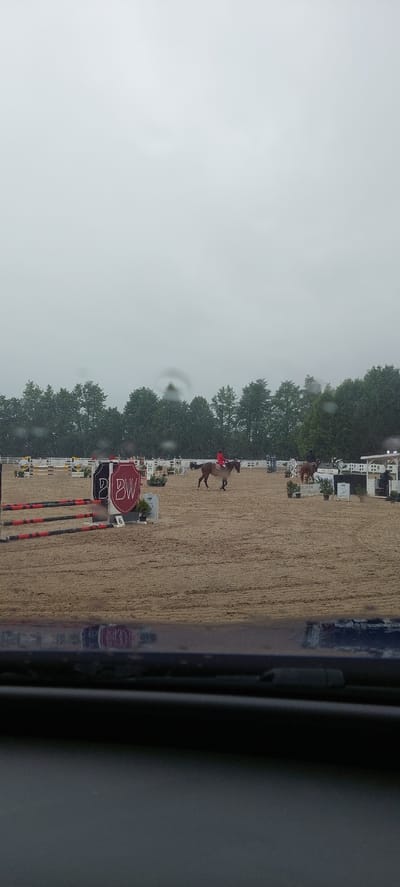 The image shows an outdoor equestrian event, likely a show jumping competition, on a cloudy day. The ground is covered in sand, and several jumps are set up. In the middle ground, a rider in a red jacket is on a brown horse, approaching a jump. To the right, another horse and rider are visible. In the background, there is a line of trees and white fencing. A reflection of the event is visible on a dark, glossy surface in the foreground, suggesting the photo was taken from inside a vehicle. The logo "BW" is visible on a banner. The location is identified as Ziniūnai, Lithuania.
