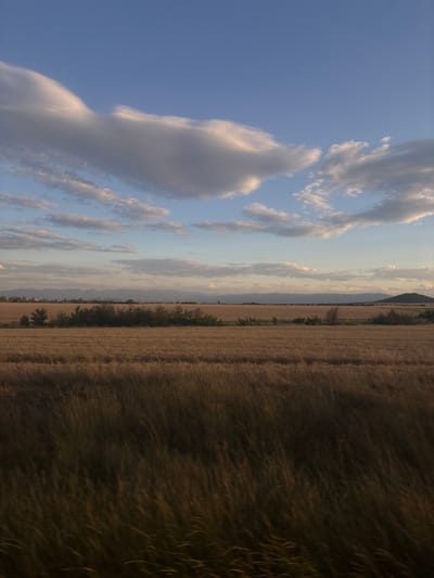 This is a vertical, eye-level, medium shot of a landscape in Naiden Gerovo, Bulgaria. In the foreground, a blurry field of tall, brown grass blows in the wind. Behind it is a golden field of crops, possibly wheat, stretching to the horizon. A line of dark green trees and bushes runs across the middle ground, breaking up the expanse of the fields. In the far distance, a range of hazy, blue-grey mountains forms the backdrop. The sky above is a clear blue, with scattered, wispy white clouds, some tinged with pink and gold, suggesting it might be near sunrise or sunset. There are no people or animals visible in the image.