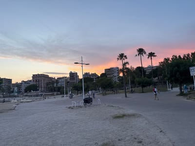 The image depicts a sunset scene along a beachfront promenade in Toulon, France. The sky exhibits a gradient of colors, transitioning from a light blue near the top to pink and orange hues near the horizon, indicating twilight. In the background, several multi-story buildings line the coastline, characteristic of a Mediterranean urban setting. Palm trees are interspersed with other foliage along the promenade.

Several people are visible, engaged in various activities. Some are walking on the paved promenade, while others are seated on benches. Children can be seen playing near the water's edge, and a few individuals are relaxing on the sandy beach. A bicycle with a cargo carrier is parked on the sand near a lamppost. A signpost with pedestrian and wheelchair symbols is visible on the right side of the promenade. The overall atmosphere is one of leisure and relaxation as the day concludes.