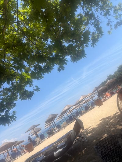 The image depicts a sunlit beach scene in Ολυμπιάδα, Greece, viewed from beneath dense green tree foliage. A bright blue sky dominates the upper right, featuring several faint, linear white contrails. Approximately fifteen to twenty straw-thatched beach umbrellas are regularly spaced along the sandy shore, each accompanied by several dark blue or white lounge chairs. The light-colored sand shows distinct patterns of sun and shadow. The calm, blue Aegean Sea is visible beyond the line of umbrellas. On the right, a densely forested hillside slopes down to the water. In the mid-ground, a person wearing a dark top stands near a cylindrical wooden waste receptacle. Several other individuals are visible sitting on lounge chairs under umbrellas. In the immediate foreground, partially obscured by shadow, a dark lounge chair and a patterned black and white bag or towel are present, along with the arm and shoulder of a person seated in a chair on the far right.