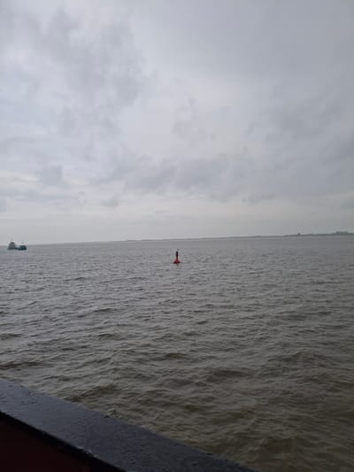 The image shows a body of water, possibly the Elbe River, with a red buoy in the middle distance. The sky is overcast and gray. In the far distance, the land appears hazy. A ship is visible in the lower left corner of the image. The picture was likely taken from a vessel or platform. It is plausible that this is the river Elbe in Brunsbüttel.
