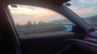 The image shows a view from inside a vehicle, looking out the passenger window towards a road and a landscape. The time of day appears to be sunrise or sunset, with a hazy, pinkish-orange sky and scattered clouds. A low-lying mist or fog is visible over the trees in the distance. A metal guardrail runs along the side of the road. The interior of the car is dark, with the dashboard and door panel visible. A side-view mirror reflects the road ahead. A logo, appearing to be "D MARK" with a stylized red 'D' is visible on the dashboard. There are no people visible in the image. The image was taken in the vicinity of the city of Zuy, Russia.