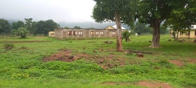 The image depicts an outdoor scene in what appears to be Gu, Nigeria, characterized by a slightly overcast sky and lush green vegetation. In the mid-ground, a long, single-story concrete building with a weathered facade and numerous rectangular windows is visible. The windows appear to have wooden frames. To the right of this building, a smaller, yellow-painted building with a sloped roof is partially visible. The foreground and surrounding area are covered in dense green grass and scattered rocks. Several trees are present, including a large, mature tree with a thick trunk positioned prominently in the right-center of the frame. In the background, a treeline and hazy hills can be seen, suggesting a rural or semi-rural setting. There are no people or animals present in the image, and no discernible activity is taking place. The overall impression is one of a somewhat neglected but naturally abundant environment.