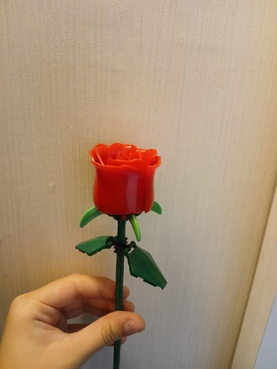 A person's hand is holding the stem of a red rose made of Lego bricks. The rose has green Lego leaves attached to the stem. The background is a textured, light-colored surface, possibly a wall or furniture, with horizontal lines. The lighting appears to be indoor, with a warm tone. The image is a close-up shot focusing on the rose and the hand. There is no visible text.