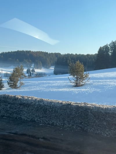 The scene depicts a snow-covered winter landscape, reportedly located near Чутырь, Russia. In the immediate foreground, a dark, textured embankment, likely composed of ice or slush, borders a smoother, darker surface below, consistent with a view from a vehicle. The midground features undulating terrain completely blanketed in white snow, displaying distinct blue shadows indicative of a low sun positioned to the left. Scattered across this snowy expanse are several individual evergreen trees, primarily pines, with one prominent specimen centrally located on the right and two visible on the left. Further into the midground, a lower area appears slightly hazy with additional, less defined trees. The background is dominated by a dense, dark green evergreen forest covering a range of hills. Above, the sky is clear and bright blue. An elongated, bright glare or reflection is visible in the upper left portion of the sky. No individuals, animals, or signs of human activity are present within the natural landscape.