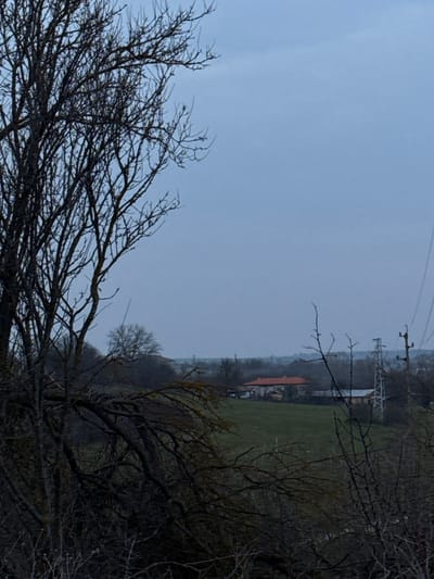 The image depicts an exterior landscape in Omarchevo, Bulgaria, under an overcast, light blue-grey sky. The foreground is dominated by the dark, bare branches of a large, leafless deciduous tree, which occupies the left side of the frame from bottom to top. Dense, dark brush and smaller bare branches extend across the lower foreground. In the mid-ground, a vibrant green field is visible. Situated behind this field, slightly left of center, is a building featuring a prominent orange-red tiled roof and light-colored walls. To the right, a second building with a lighter-colored roof is partially visible amidst bare trees. On the far right, a dark utility pole or power line tower is present, supporting visible power lines. The background consists of a hazy, muted landscape with a discernible horizon. No individuals or specific actions are observed. The bare trees indicate a late autumn, winter, or early spring setting.