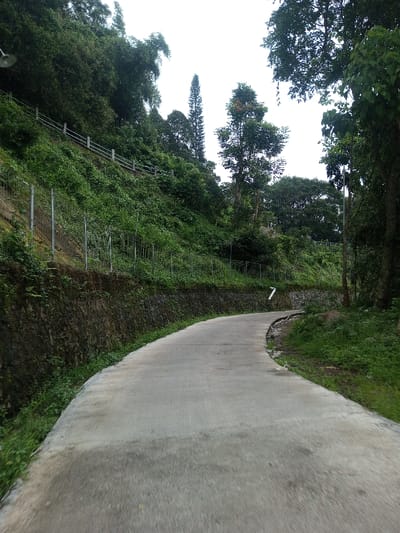 The image depicts a concrete road curving through a densely vegetated, hilly landscape in Hasanparthy mandal, India. The road, a light grey surface, initially curves to the right in the foreground before bending left further into the scene. To the immediate left of the road, a dark, moss-covered stone retaining wall supports a steep, heavily overgrown embankment. A wire mesh fence with metal posts runs along the base of this slope, with another section of white-posted railing visible higher up the incline. The slope is covered with dense green foliage, including various bushes, vines, and tall bamboo-like plants near the top. To the right of the road, a grassy verge ascends into a cluster of large trees with dark green canopies. A small white triangular marker is affixed to a retaining wall segment on the right side where the road curves. The sky overhead is overcast and light grey, indicating diffused lighting. No individuals, vehicles, or animals are present in the scene, and no specific actions or interactions are depicted.