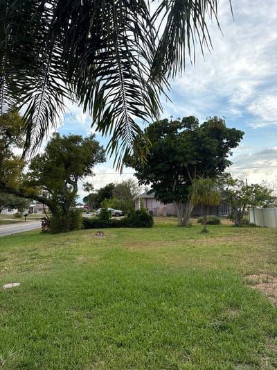 In South Venice, Florida, USA, a photograph captures a residential street scene dominated by lush green grass in the foreground. Tall palm fronds frame the top of the image, partially obscuring a sky with scattered clouds. The mid-ground features a mature, sprawling oak tree with gnarled branches, situated in a yard. Beyond the oak, a modest single-story house with a light-colored exterior is visible. A silver car is parked on the road, and a stop sign is present at an intersection. Further to the right, another house with a pinkish exterior and a screened-in porch is partially visible, bordered by a white fence. The overall environment suggests a suburban residential area with abundant vegetation.