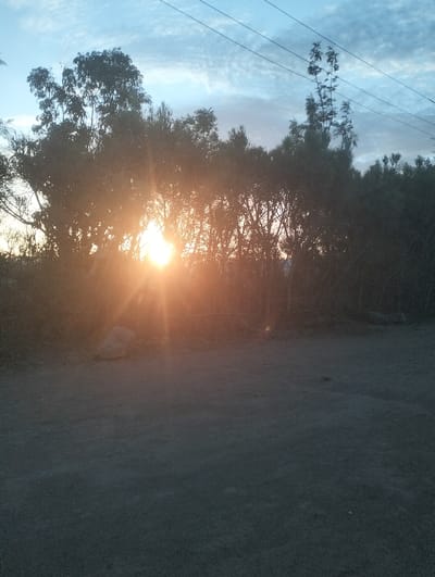 The image captures an outdoor scene at either sunrise or sunset, dominated by a brightly shining sun peeking through a dense line of trees. The sun, positioned towards the center-left, casts a powerful, warm orange and yellow glow, creating distinct sunrays and a strong lens flare effect that illuminates the surrounding foliage.

Above the treeline, the sky displays varying shades of blue, transitioning from a lighter hue near the horizon to a deeper blue towards the top of the frame. Wispy, scattered clouds are visible against the blue sky, adding texture. In the upper right corner, several thin, dark lines, likely power lines or telephone wires, stretch diagonally across the sky.

The trees themselves appear mostly as dark silhouettes against the intense light of the sun, making their individual details difficult to discern. They form a thick, natural barrier, with branches and leaves creating intricate patterns where the sunlight filters through. Some taller, sparser trees or branches are visible, particularly in the upper right quadrant of the treeline.

The foreground consists of dark, textured ground, which appears to be dirt or gravel, heavily shadowed and contrasting with the bright light emanating from the horizon. A single, light-colored rock or stone is visible on the ground directly below the brightest part of the sun's glow, slightly to the left of the image's center. The overall lighting creates a dramatic and tranquil atmosphere, emphasizing the transition between light and shadow. No discernible human activity or text is present in the image.