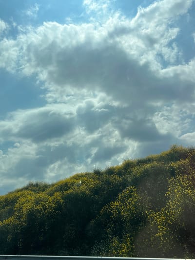 A hillside covered in dark green vegetation dotted with small yellow flowers slopes upwards towards a sky filled with white and grey clouds. The sun is partially obscured by the clouds, casting a bright, diffused light. A metal railing is visible at the bottom of the frame. The image depicts a natural outdoor scene with no people or specific structures. The location is the city of Hadzhiite, Bulgaria.