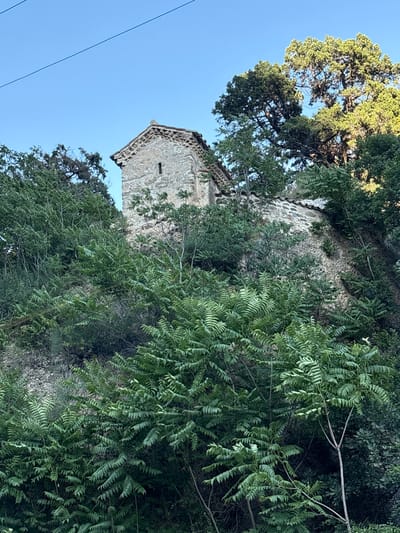 In Dzegvi, Georgia, a stone structure with a tiled roof, resembling a small church or tower, is partially visible amongst lush green trees and foliage. The building is constructed from rough, grey stones and has a small, dark rectangular opening on its visible facade. A segmented wall, also made of stone and topped with red tiles, extends from the building and runs along the hillside. The environment appears to be a natural setting, with dense vegetation covering a steep incline. The sky above is a clear, bright blue with a thin, dark line, possibly a power line, stretching across it. The lighting suggests it is daytime, with the sun illuminating parts of the scene, casting subtle shadows. No people are present in the image.