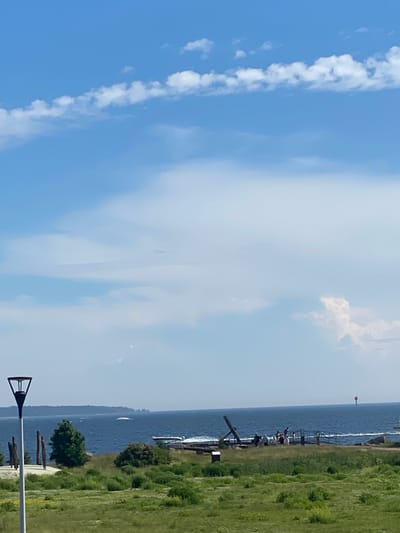 The image depicts a scenic view of the sea in Kotka, Finland. In the foreground, a grassy field with scattered bushes is visible, leading towards a body of water. A tall, black lamp post stands on the left side of the frame. Further back, on the edge of the water, there's a collection of wooden structures, possibly part of a pier or historical exhibit. Several people are gathered near these structures, observing the sea. A boat is visible on the water, and a red buoy marks the distance. The sky above is a clear blue, with scattered white clouds.