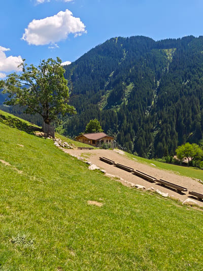 This is an outdoor, eye-level, vertical shot of a grassy hillside in Kochau, Austria. In the foreground, a lush green, well-maintained lawn slopes upwards. Partially visible in the foreground is a patch of dry grass. A large, mature tree with a wooden fence around its base stands on the hillside. Behind the tree, a path or track made of dirt and gravel leads away from the viewer. The path is lined with what appear to be wooden troughs or channels. Further up the path, a rustic wooden building with a brown roof is visible. Beyond the building and path, the scene is dominated by a densely forested mountain. The mountain is covered in dark green coniferous trees, with some lighter green patches and gullies visible on its slopes. The sky is a bright blue, with a few white, fluffy clouds.