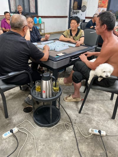 The image captures a scene of four adults and a small white dog playing mahjong around a table in what appears to be a community center or a gathering space in Chongzhou City, China. The room has a concrete floor and walls, with some shelving units in the background holding drink containers. The mahjong table is automated and appears to be in the center of the activity. Two men and two women are seated around the table. One woman, wearing a patterned shirt, is smoking a cigarette. A shirtless man with dark pants and light-colored slippers is seated to the right, with the white dog resting on his lap. Another man, wearing glasses and a dark shirt, is seated opposite him, and a woman in a dark patterned shirt is to his left. The environment suggests a casual and communal gathering, possibly for recreation. Various power cords and extension cords are visible on the floor, suggesting that the mahjong table is electric and possibly other devices are in use or being charged. Two glasses of a golden liquid, likely tea, and a silver thermos are on a small side table next to the mahjong table. The overall lighting is somewhat dim, typical of indoor spaces with limited natural light.