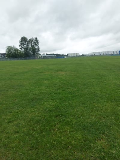 The image shows a grassy field in Pitt Meadows, Canada. The coordinates are 49.208, -122.681. There are trees in the background, and a large building with a white roof in the distance. The field appears to be unused and there are no people present. The sky is overcast and the grass is a vibrant green.  There is a wire fence along the edge of the field. The field is bordered by trees in the foreground and buildings in the distance.