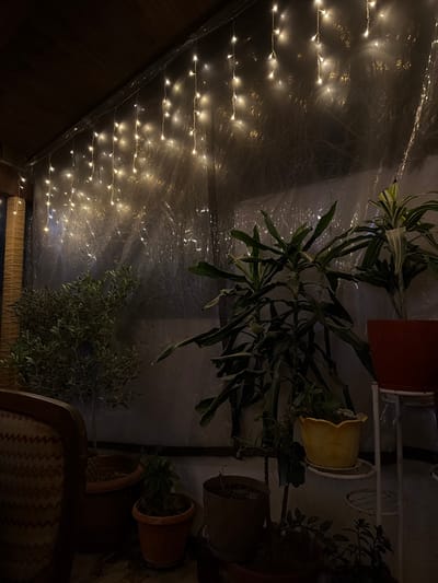 This image depicts an outdoor or semi-enclosed space, likely a balcony or patio, at night in Kavrakirovo, Bulgaria. The scene is illuminated primarily by numerous small, warm-white LED string lights arranged horizontally across the upper wall, casting a soft glow. The ceiling is constructed of dark wooden panels. A transparent or translucent plastic sheeting serves as a partition or wall, reflecting the lights and creating a diffused background.
Several potted plants are visible throughout the lower and middle ground. On the left, a large, bushy plant with dense green leaves sits in a dark brown pot. To its right, another smaller plant in a terra cotta pot is on the floor. In the center, a tall, leafy plant with broad green leaves is positioned, and further right, another plant with variegated green and white leaves is in a vibrant red pot, elevated on a white metal plant stand. A yellow, fluted pot containing a smaller plant is also visible on a lower tier of a plant stand.
In the lower left foreground, the back and armrest of a chair or sofa are partially visible, upholstered with a patterned fabric featuring brown and beige zig-zag designs. A vertical, textured column, possibly wrapped in a natural material like bamboo, is situated on the far left. The floor appears to be a dark, possibly tiled or stone surface. No individuals or active interactions are present in the scene.