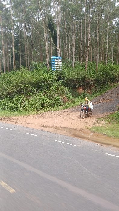 The image displays a roadside scene in Moticho ward, Kenya. In the foreground, a paved road with a single faded yellow line and intermittent white dashed lines runs from left to right. Adjacent to the road on the right is a dirt and gravel shoulder, exhibiting moist or muddy patches.
Positioned on this dirt shoulder is a dark-colored motorcycle. Seated on the motorcycle is one individual, wearing a yellow helmet, a light-colored jacket or vest over a darker garment, and dark trousers. A white package or bag is secured to the rear of the motorcycle, behind the rider.
Behind the dirt shoulder, an upward slope is covered with dense green bushes and foliage. Further in the background, a dense stand of numerous tall, slender trees with pale trunks, likely eucalyptus, forms a forest or plantation. Partially obscured by the foliage and positioned among the trees is a multi-panel sign, predominantly blue and white, with horizontal rows of text, largely unreadable from this distance. The sky above is overcast.