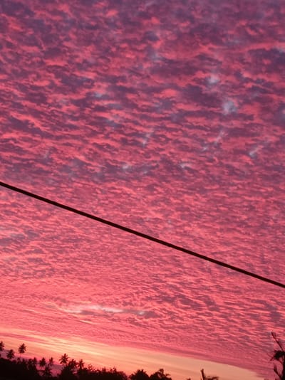 The image shows a vibrant sky filled with pink and purple clouds, indicative of a sunset or sunrise. A dark, thin wire is stretched diagonally across the frame from the top left to the bottom right. The lower portion of the image features a silhouetted tree line with palm trees, suggesting a tropical or subtropical location. The location is identified as Toto Selatan, Indonesia, a district in Gorontalo Province. The scene is devoid of any people or visible human activity, focusing solely on the natural elements of the sky and the silhouetted landscape.