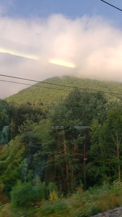 The image depicts a verdant, tree-covered mountain slope partially obscured by soft, white clouds against a blue sky. Two parallel, dark power lines stretch horizontally across the mid-section of the frame, in front of the mountain. In the foreground, a dense collection of trees, varying in shade of green and featuring some taller pines, lines the bottom of the image. There is a hint of a building, possibly a small house with a green roof, visible through the trees on the left side. The lighting suggests it is either early morning or late afternoon, with a soft glow illuminating the clouds. The scene is likely a view from a moving vehicle, indicated by the slight motion blur in the foreground vegetation and the reflections on the surface through which the image was captured, possibly a train window. The location is identified as Margecany, Slovakia.