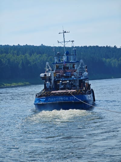 A blue and maroon tugboat, identified by the name "ПЛОТОВОД 717" in white Cyrillic lettering on its stern, moves through a wide, calm river under a bright, clear sky. The tugboat is leaving a wake of white foam and disturbed water. A thick, gray rope extends from the stern of the tugboat, diagonally across the lower right corner of the frame. The riverbank in the background is densely covered with a dark green forest. The scene appears to be in Podporozh'e, Russia, a city known for its location on the Svir River, which flows through a forested landscape.