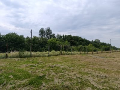The image depicts a scene on the outskirts of Раснянскі сельскі Савет, Belarus, characterized by a perimeter fence and a wooded area beyond. The foreground consists of a grassy field with patches of dry, matted grass. The fence, a chain-link structure with barbed wire along the top, runs horizontally across the middle ground, supported by metal posts. Behind the fence, a dense line of green trees and shrubs forms a natural boundary. In the sky, heavy, gray clouds suggest overcast weather. Electrical wires are visible strung between utility poles in the background, further indicating the presence of infrastructure. The overall impression is one of a secluded or restricted area, likely bordering a natural landscape.
