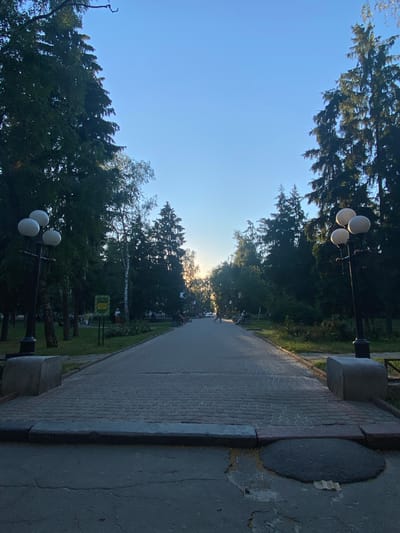 The image depicts a pathway in a park or a scenic area. Tall trees with dense foliage line the left side of the path, creating a natural canopy. The pathway itself is paved with brick and runs towards the horizon, where the sun is setting or rising, casting a warm glow. On the right side of the path, there are concrete structures and a circular patch of asphalt in the ground, possibly a manhole cover or a repair.

Several lampposts with multiple light fixtures are visible along the pathway, suggesting it is a well-maintained public space. In the distance, faint figures of people can be seen, some sitting on benches or walking, indicating a serene and leisurely atmosphere. The sky is a clear blue, with hints of the sun's light breaking through the trees. The overall impression is one of tranquility and natural beauty, with a hint of urban design. The time of day appears to be either early morning or late afternoon, given the low angle of the sun and the soft lighting. No text is clearly visible in the image.