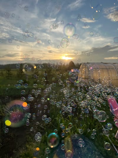 An outdoor, eye-level, medium shot captures a plethora of iridescent soap bubbles floating against a soft sunset sky, suggesting a serene, rural atmosphere. In the background, a large, translucent greenhouse is visible, partially obscured by the bubbles and the golden light of the setting sun. The foreground is dominated by a field of lush green grass, with a few scattered trees adding depth to the landscape. The image appears to be taken in Nizhnee Kechevo, Russia, a location known for its agricultural practices and natural beauty, making it an ideal setting for such a tranquil scene. The composition creates a dreamlike quality, with the bubbles reflecting the warm hues of the sky and the surrounding environment.