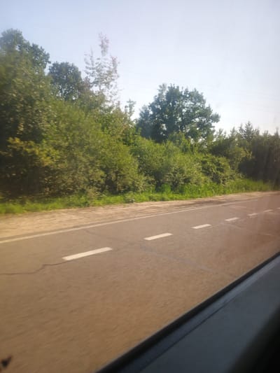 The image shows a road with white markings, bordered by lush green trees and vegetation. The perspective suggests the photo was taken from a moving vehicle, likely a car, looking out the window. The road is paved and appears to be a highway or a significant road, with a slight curve visible. The trees are dense and full, indicating a time of year with ample foliage, possibly spring or summer. The sky is a pale blue, suggesting daytime. The overall scene evokes a sense of travel and natural scenery. There is no visible text in the image. The orientation of the image is sideways, which can be disorienting but also emphasizes the motion of travel. The dark edge on the right side of the image is likely the window frame of the vehicle. The scene appears peaceful and scenic, hinting at a journey through a rural or semi-rural area.