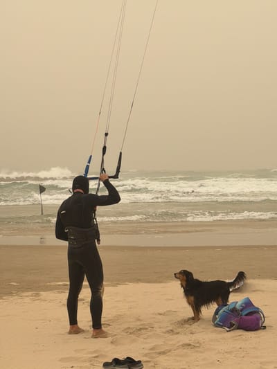 A kiteboarder stands on a sandy beach, holding onto a kite with lines stretching into the hazy sky. A dog is next to a colorful backpack and black sandals. The ocean with its breaking waves is nearby. The sky appears overcast with a yellowish-gray tint, possibly indicating smoke.