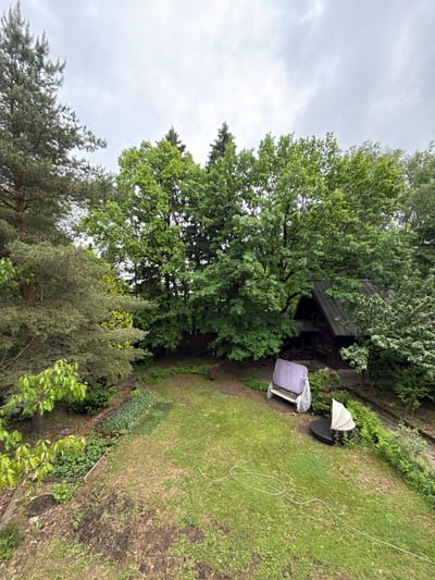 The image shows a backyard or garden in Lesnoi Gorodok, Russia. A wooden structure, possibly a shed or a small house, is visible amidst the trees. Garden furniture, including chairs, is situated on a grassy lawn. A white rope or cable is lying on the grass. The sky is overcast.
