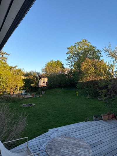 The image shows a backyard landscape, likely in a residential area. The scene includes a well-maintained lawn, a wooden deck with potted plants and a circular table with chairs, and various trees and bushes. A small, weathered treehouse stands among the greenery. A dog rests in the lawn. The sky is clear and blue. Based on the prompt, the location is presumed to be within the municipality of Lejre, Denmark.