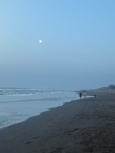 The image depicts a serene beach scene in the city of Casitas, Mexico, at dusk or dawn. The sky is a pale, hazy blue, with a bright, full moon visible in the upper left quadrant. Gentle waves roll onto the dark sand beach. In the foreground, two individuals, a man and a woman, are walking away from the viewer along the shoreline, each accompanied by a dog. The man wears a dark t-shirt and shorts, while the woman wears a light-colored top and shorts. Both are holding leashes attached to their respective dogs. Further down the beach, several other people and some structures, possibly palapas or small buildings, are visible in the distance. The overall atmosphere is tranquil and peaceful.