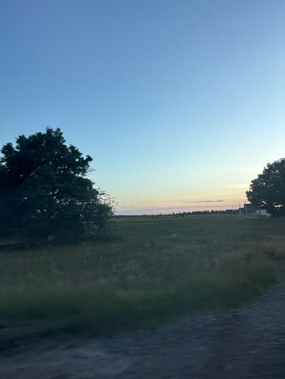 The image depicts an outdoor scene, likely a rural landscape, with a clear sky transitioning into pastel hues near the horizon, suggesting it is either sunrise or sunset. The sky takes up a significant portion of the frame, colored in shades of blue and fading to lighter tones.
In the foreground and middle ground, there are elements of vegetation, including trees with dense foliage. One tree is prominently featured on the left side of the image, its dark leaves contrasting with the bright sky. Another tree is visible in the upper right quadrant.
Beyond the trees, a field or open area stretches out, appearing somewhat uncultivated or covered in dry grass. In the distance, there are hints of structures, possibly buildings or power lines, lined up along the horizon. The overall impression is one of quiet and natural beauty, with a sense of space and openness. The lighting suggests a calm atmosphere, typical of the transitional periods of the day. No people, objects, or text are clearly discernible in the image.