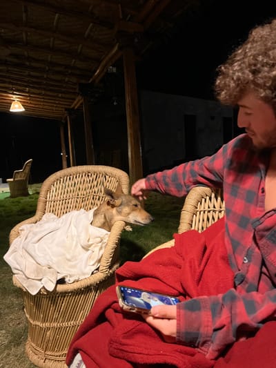 A person with curly hair and a red flannel shirt pets a dog sitting in a wicker chair with a white cloth inside. The dog is looking up at the person. The person is holding a smartphone. The scene appears to be outdoors at night, with a building or structure partially visible in the background and some lighting visible. Another wicker chair is nearby on the lawn.