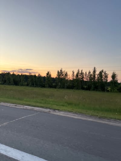This is a vertically oriented, wide-angle photograph of a roadside scene at dusk. The sky occupies the left half of the frame and transitions from a pale blue at the top to warm hues of orange and yellow near the horizon, indicating sunset. A line of dark trees forms the backdrop, silhouetted against the colorful sky. The trees appear to be deciduous, with some having bare branches suggesting it might be late spring or early autumn. Power lines are visible stretching horizontally across the upper portion of the tree line.
To the right of the trees is a strip of vibrant green grass, which then borders a grey asphalt road. The road has white markings, including a solid white line and a broken white line, suggesting it is a highway or main road. The perspective is from a low angle, as if taken from a moving vehicle. The lighting suggests it is late in the day, with soft, diffused light. The scene is natural and serene, conveying a sense of calm. There is no visible text in the image. The location is identified as Aryshkhazda, Russia.