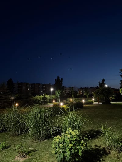 This is a nighttime photograph of a park in the city of Lublin, Poland, likely near the Bystrzyca River. In the foreground, tall green grasses and a small flowering bush are visible on a manicured lawn. Several lampposts are illuminated, casting light on the path and surrounding greenery. In the mid-ground, more trees and bushes are visible, along with a bench under a vine-covered structure. In the background, a row of apartment buildings with illuminated windows stretches across the horizon. The sky is a deep blue, with several faint lights appearing as small white dots, possibly distant aircraft or streetlights. The overall atmosphere is peaceful and tranquil.