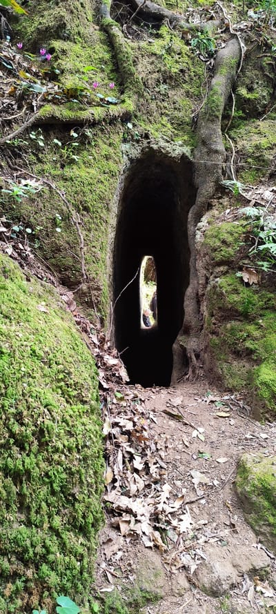 The image depicts a dark tunnel entrance, possibly man-made, in Corchiano, Italy. The tunnel's walls are covered in moss, indicating a damp environment. The foreground is littered with fallen leaves. Two people are faintly visible at the far end of the tunnel. A tree trunk with exposed roots is positioned on the right side of the tunnel entrance. Small pink flowers grow on the left wall.