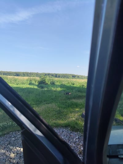 The image is taken from inside a vehicle, looking out through the open door and window frame at a rural landscape in Melikhovo, Russia. The foreground consists of a gravel surface and the dark interior of the vehicle's door and frame. Beyond this, a grassy field stretches out, dotted with small green plants and some white wildflowers. In the middle ground, there are several small evergreen trees and a patch of denser vegetation. A dark-colored object, possibly a piece of equipment or a dark bag, is visible in the grass. In the background, a line of dense green trees forms a forest, with a clear blue sky overhead, featuring a few wispy white clouds. The sun appears to be shining, casting shadows on the ground and illuminating the landscape.